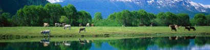 svizzera
